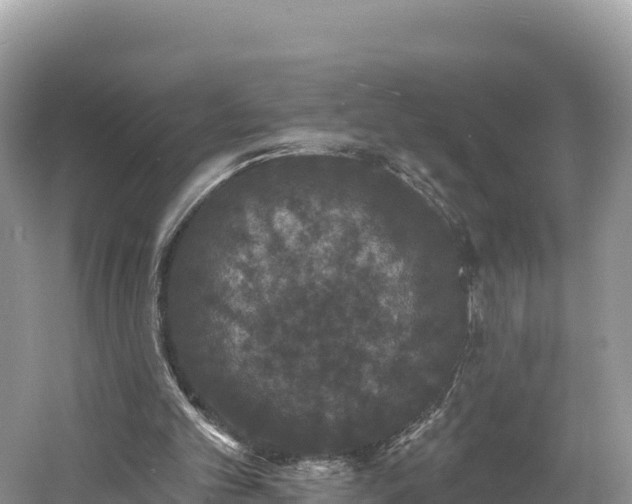 X0000060790101200511141454