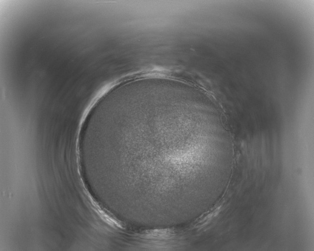 X0000060790102200511141454