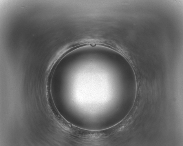 X0000060790103200511141454