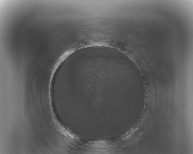 X0000060790104200511141454