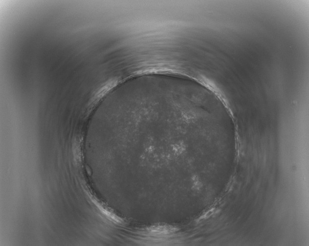 X0000060790105200511141454