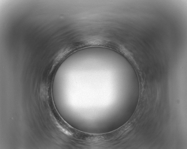 X0000060790106200511141454