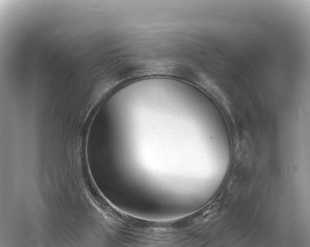 X0000060790107200511141454