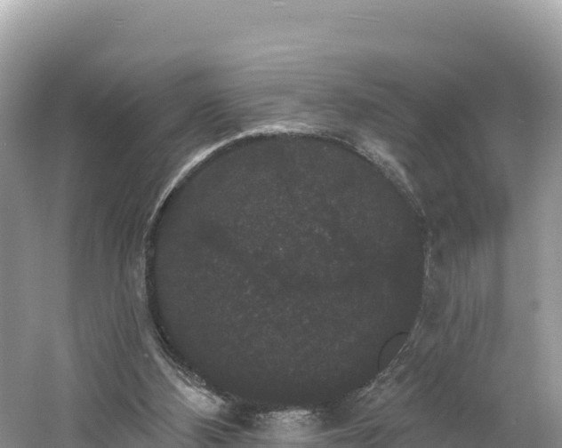 X0000060790108200511141454