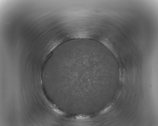 X0000060790109200511141454