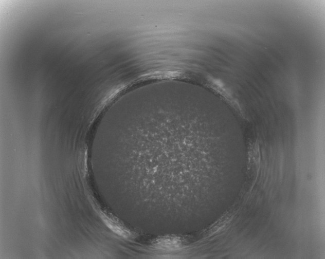 X0000060790110200511141454