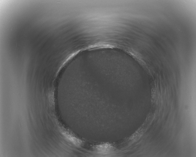 X0000060790112200511141454