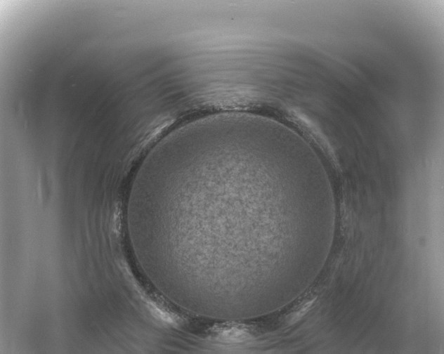 X0000060790113200511141454