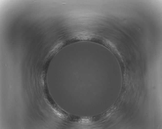 X0000060790114200511141454