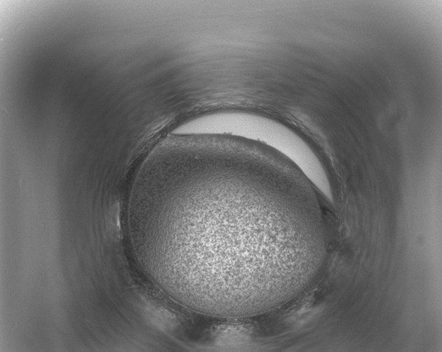 X0000060790115200511141454