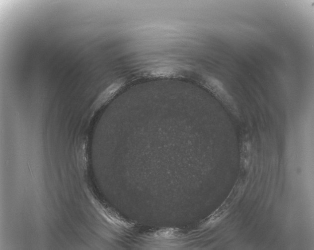 X0000060790116200511141454