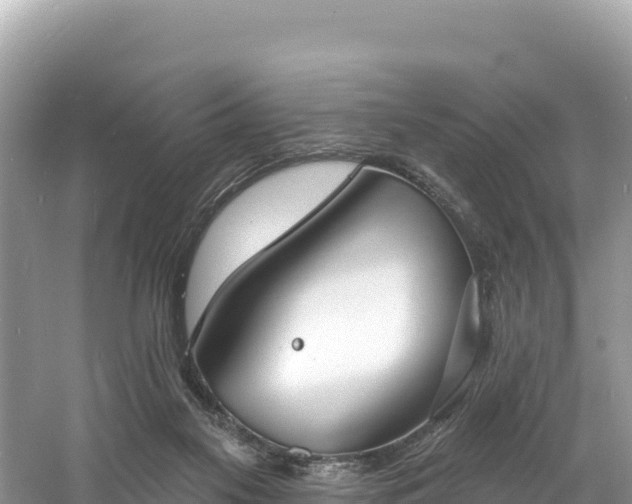 X0000060790117200511141454