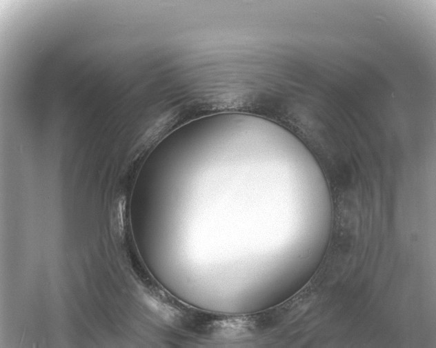 X0000060790118200511141454