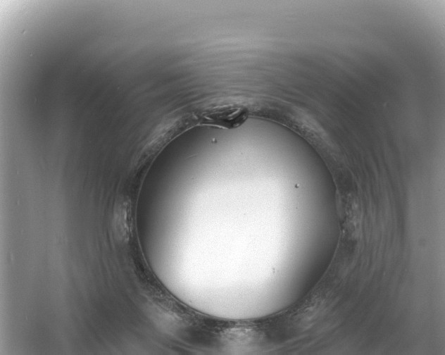 X0000060790119200511141454