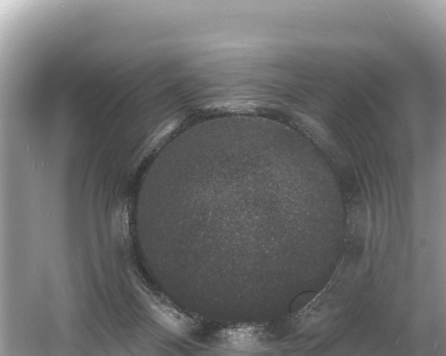 X0000060790120200511141454