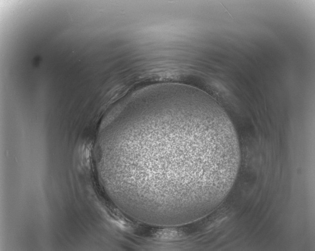 X0000060790123200511141454