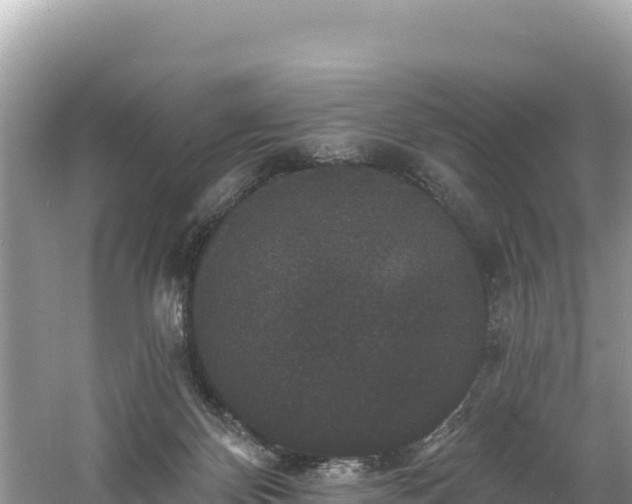 X0000060790124200511141454