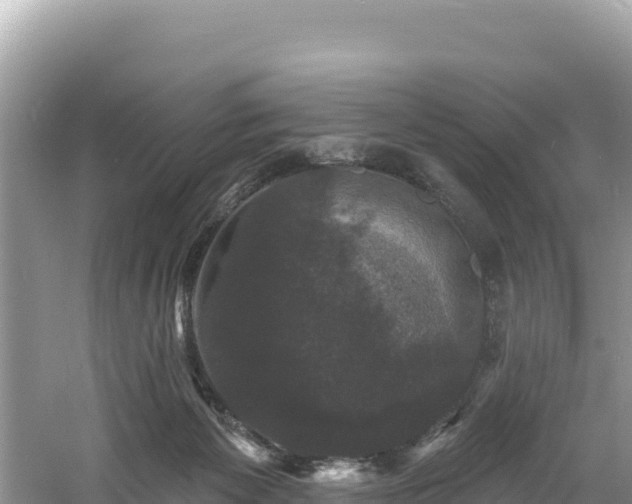 X0000060790125200511141454