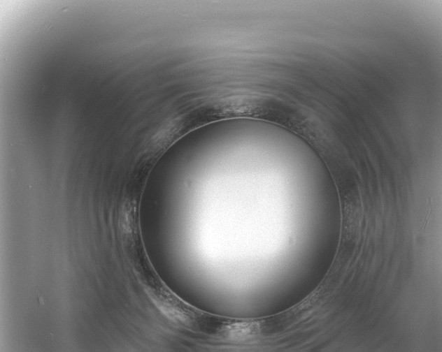 X0000060790126200511141454