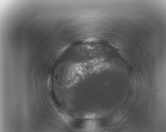 X0000060790127200511141454