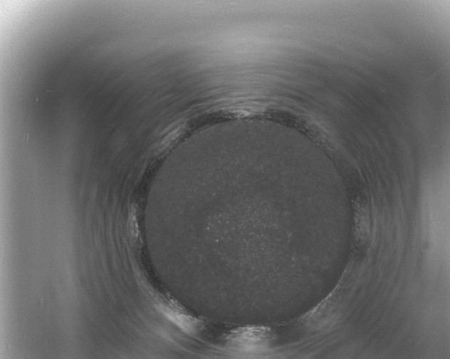 X0000060790128200511141454