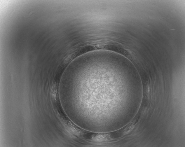 X0000060790129200511141454