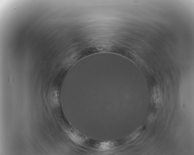 X0000060790130200511141454