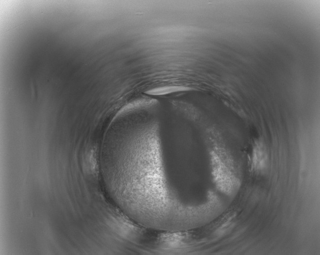 X0000060790131200511141454