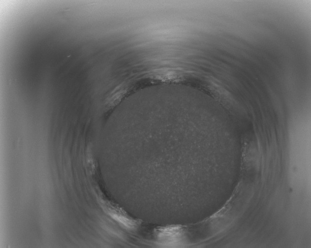 X0000060790132200511141454