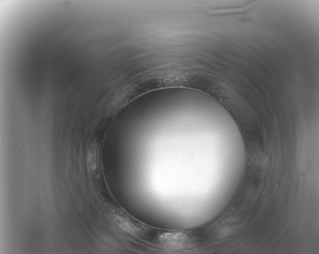 X0000060790133200511141454