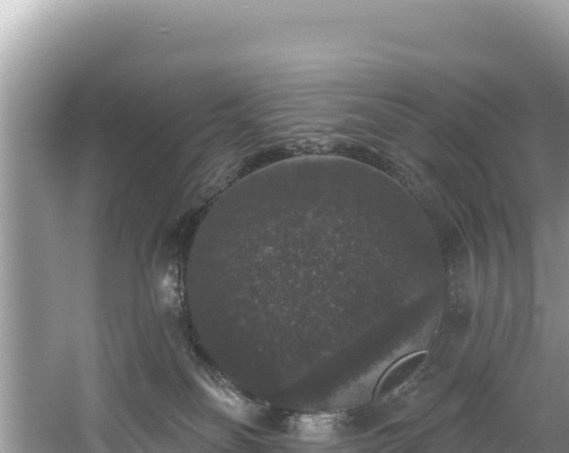 X0000060790134200511141454