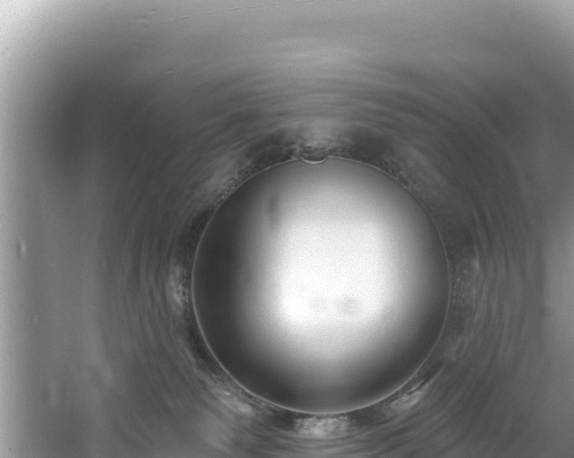 X0000060790135200511141454