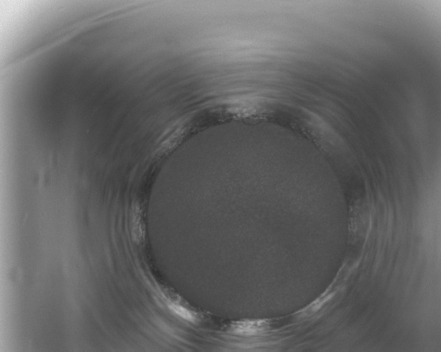 X0000060790136200511141453