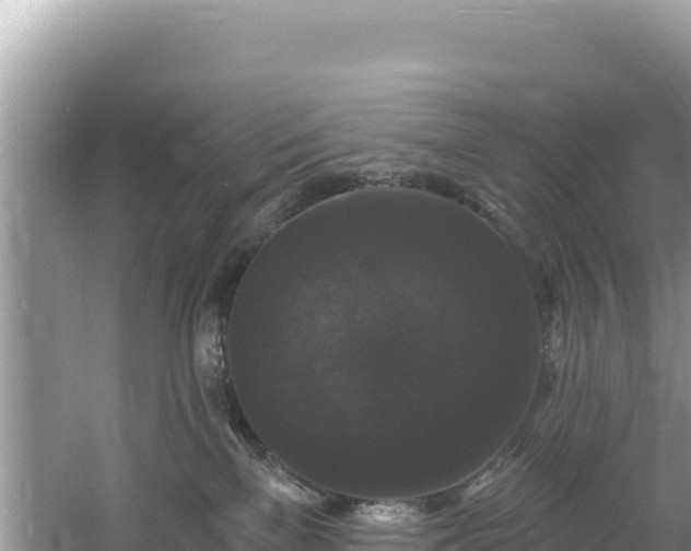 X0000060790137200511141453