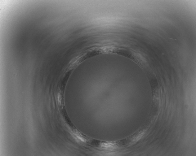 X0000060790139200511141453