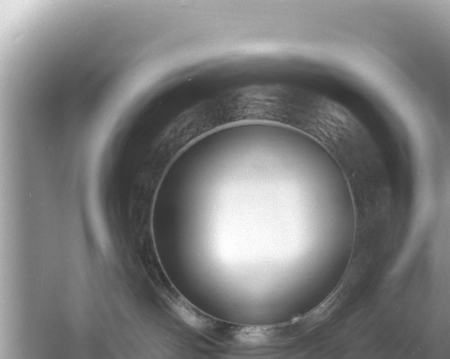 X0000060790142200511141453