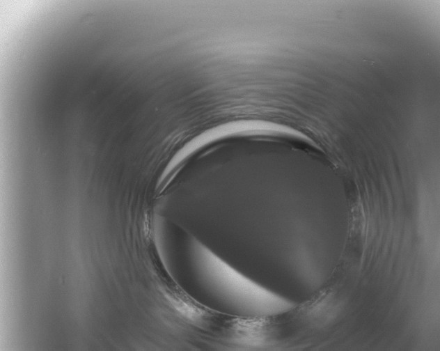 X0000060790143200511141453