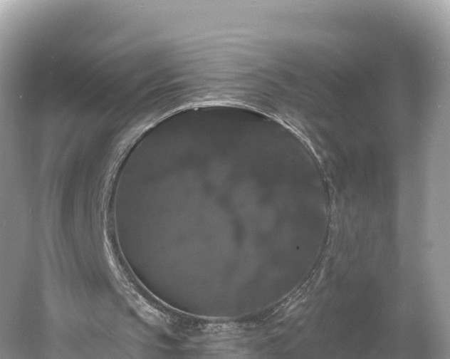 X0000060790145200511141453