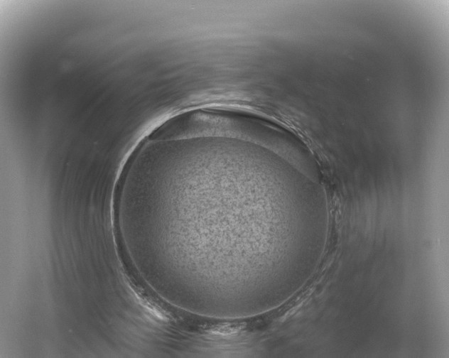 X0000060790148200511141453