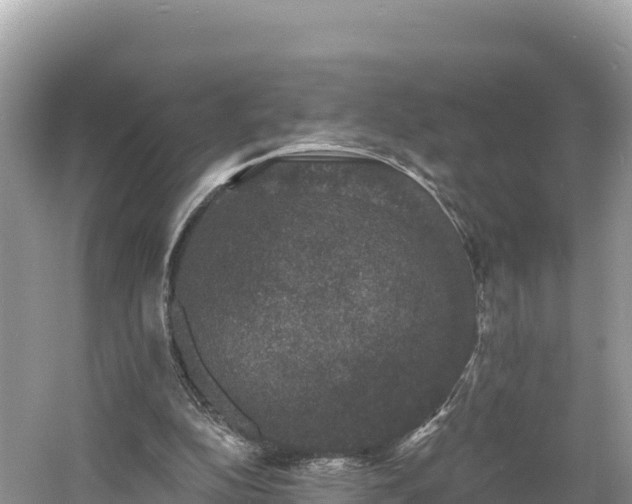 X0000060790152200511141453