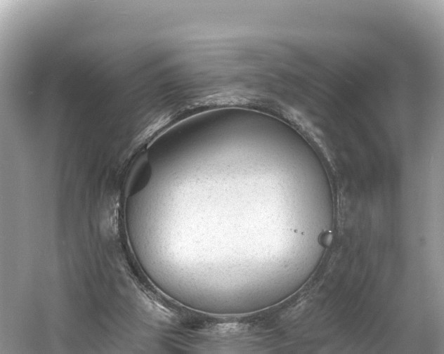 X0000060790153200511141453