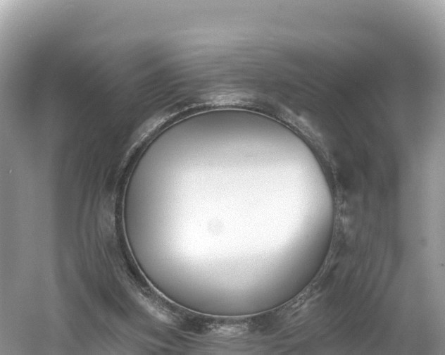 X0000060790155200511141453