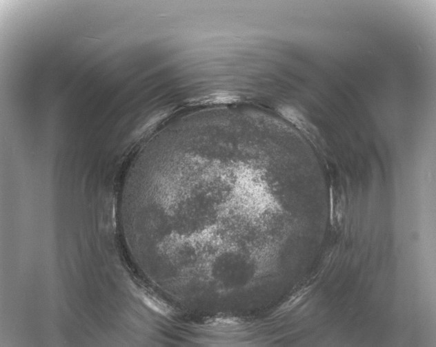 X0000060790157200511141453