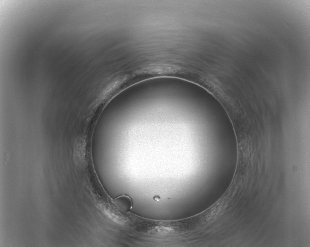 X0000060790159200511141453