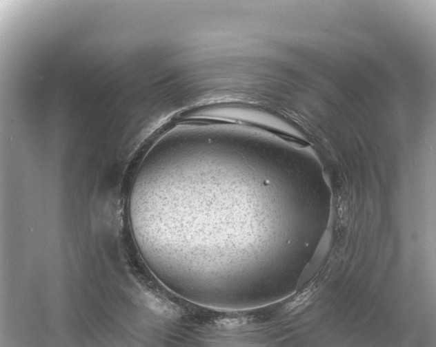 X0000060790160200511141453