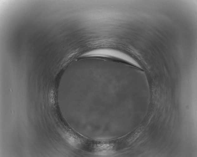 X0000060790161200511141453