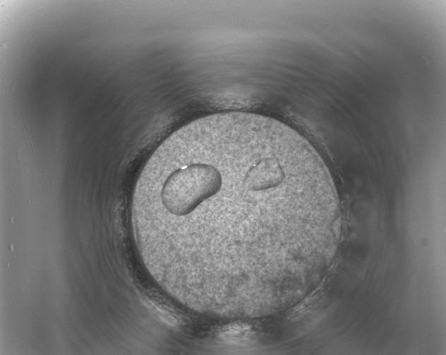 X0000060790162200511141453