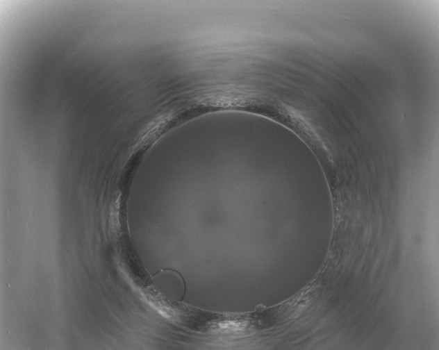 X0000060790163200511141453