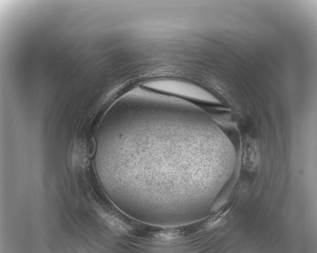 X0000060790164200511141453