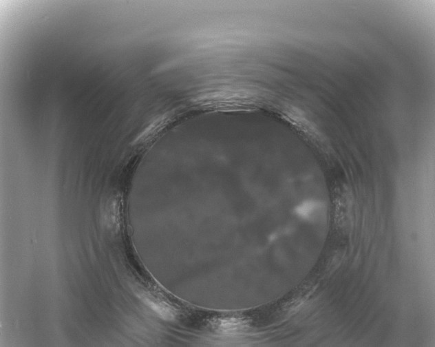 X0000060790165200511141453